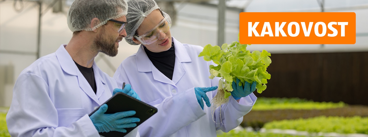 Znanstvenika si ogledujeta solato