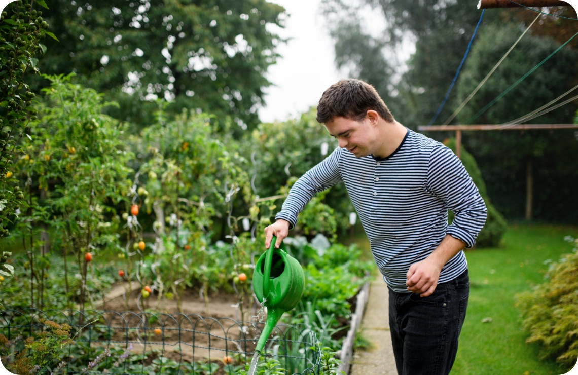 Junger Mann mit Gießkanne bewässert Gemüsegarten mit Tomatenpflanzen und üppigem Grün bei Tageslicht.