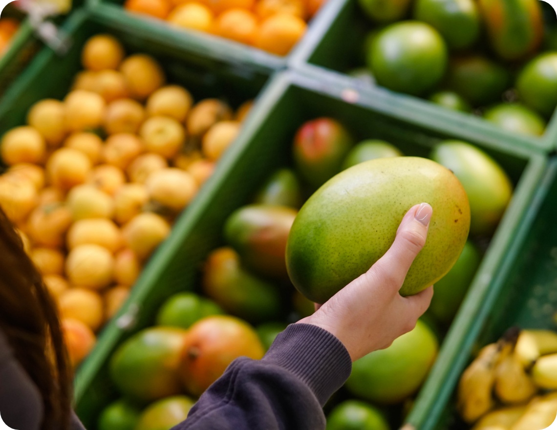 Person hält eine reife Mango in der Hand und prüft sie beim Einkaufen in der Obstabteilung des Supermarkts.