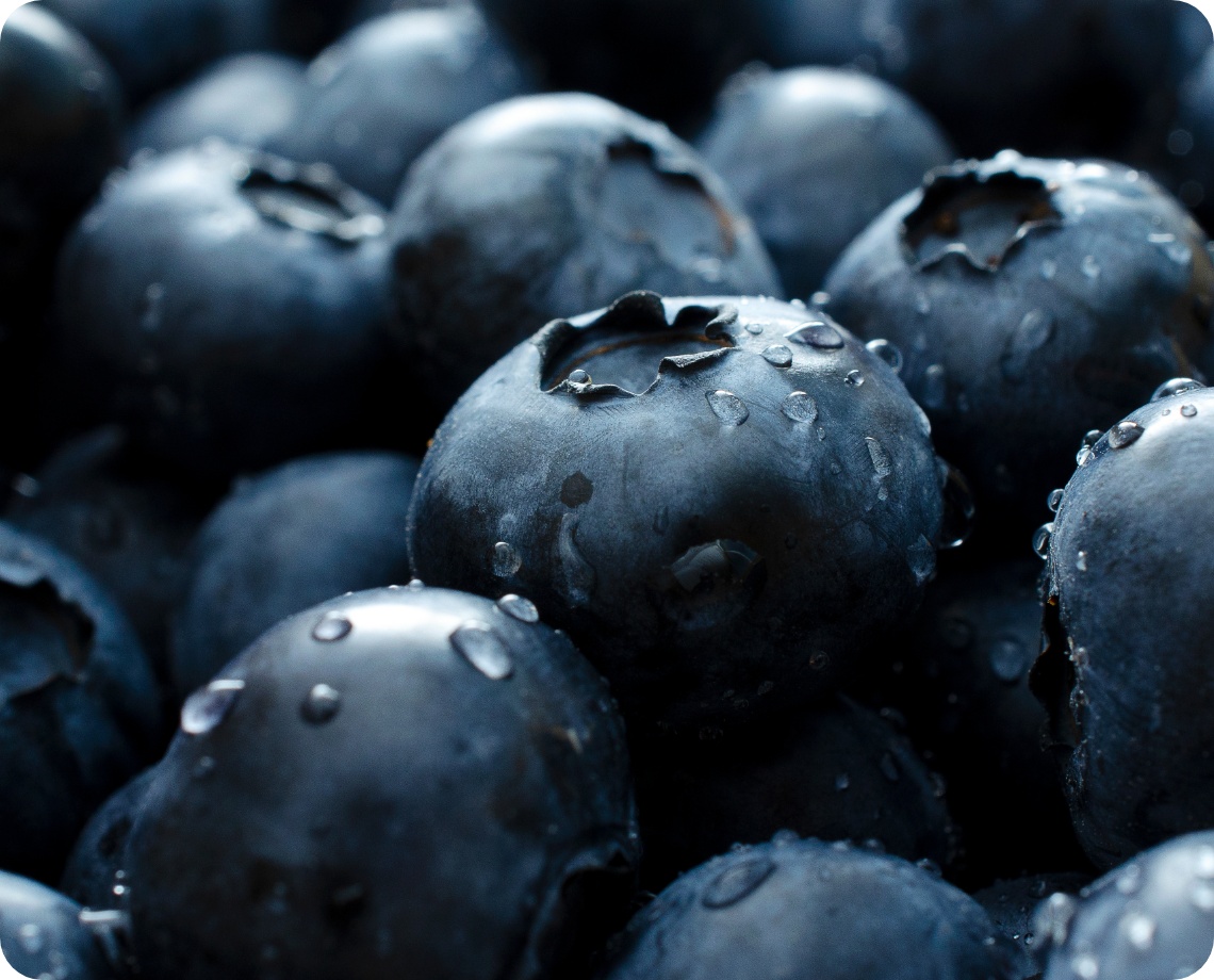 Frische Heidelbeeren.