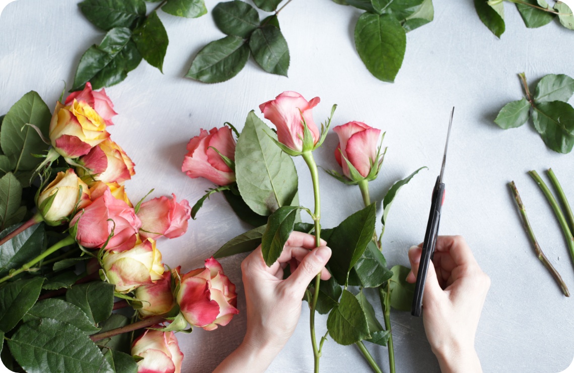 Person entfernt Rosenblätter von den einzelnen Stielen und schneidet sie zurecht.