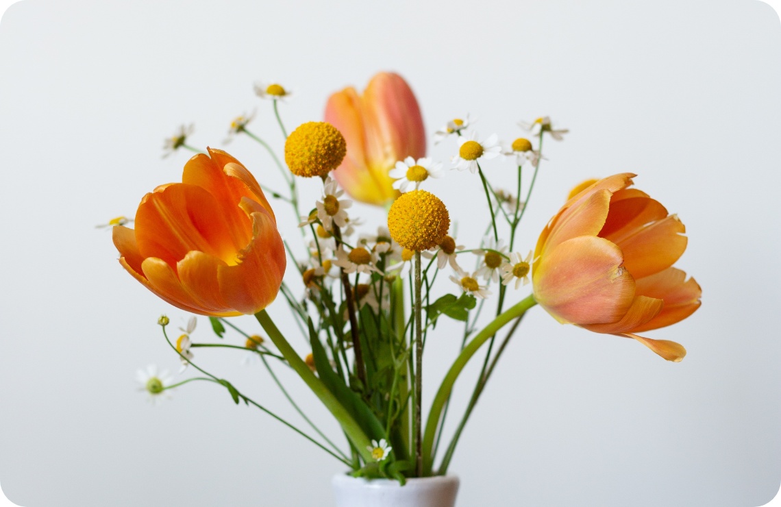 Minimalistischer Frühlingsstrauß aus orangefarbenen Tulpen und Gänseblümchen.