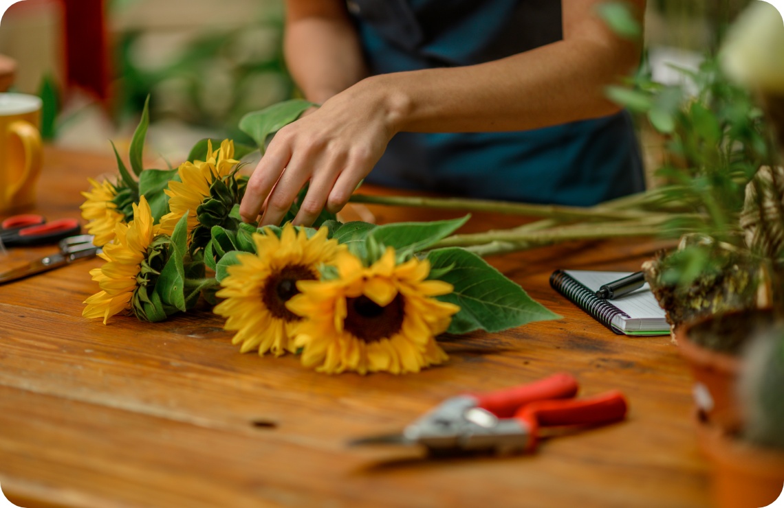 Person entfernt Blätter von Sonnenblumenstielen.