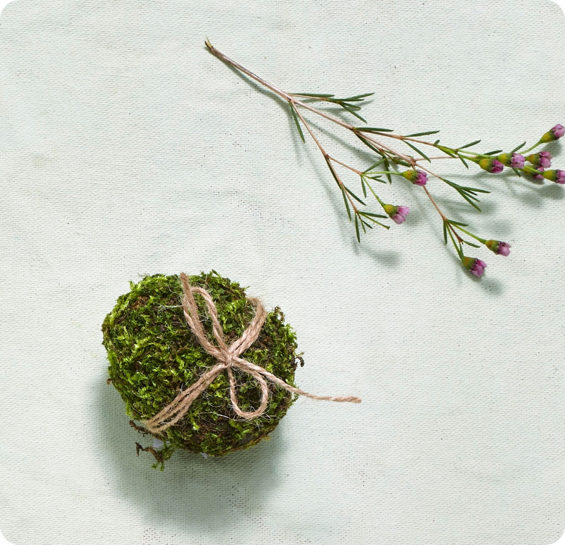 Natürliches Osterei umhüllt mit Moos und Jutekordel, daneben ein Zweig mit kleinen violetten Blüten auf hellem Hintergrund.