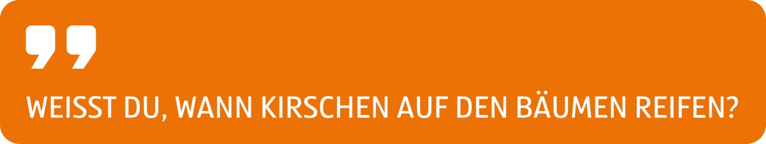 Zitat Weißt du, wann Kirschen auf den Bäumen reifen