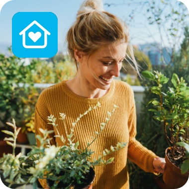 Frau steht auf sonniger, begrünter Dachterrasse und hält frisch eingepflanzte, grüne Sträucher in den Händen.