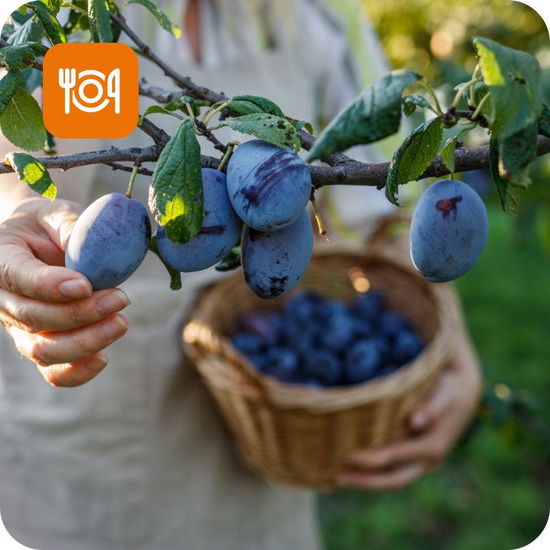 Ungewaschenes Knollengemüse in einer Schüssel.
