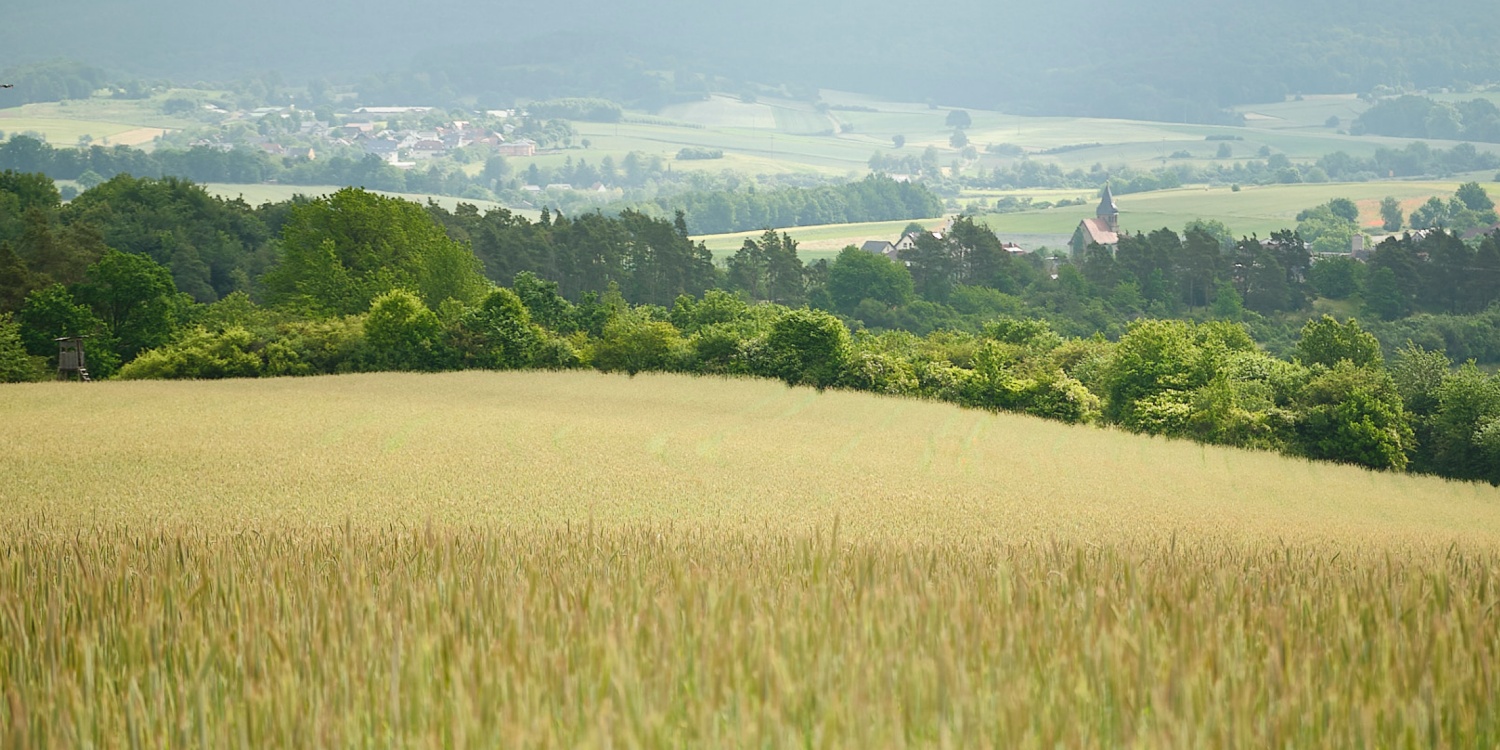 Getreidefeld vor Talblick