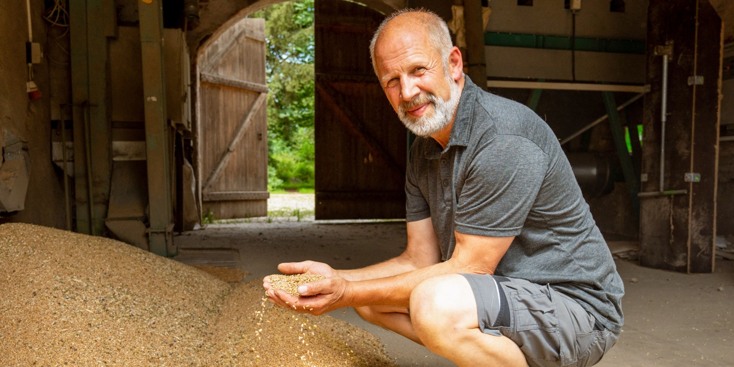Landwirt Reinhard Brunner betrachtet frisch geerntetes Getreide.