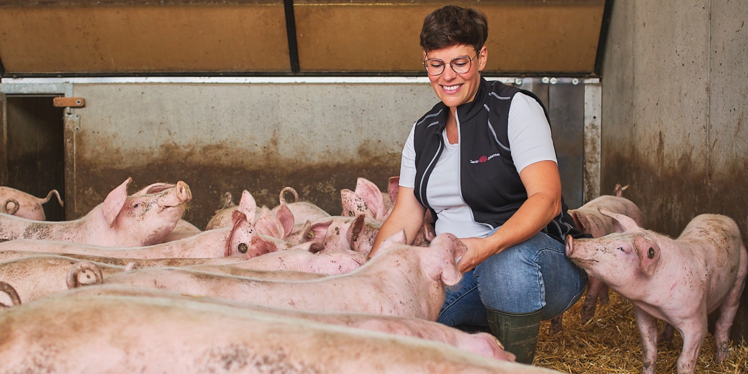Frau Gaudera füttert die Schweine im Stall.