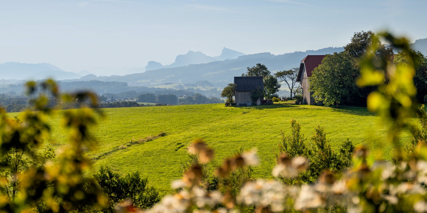 Aussicht vom Unterwindiggut in die umliegende Natur.