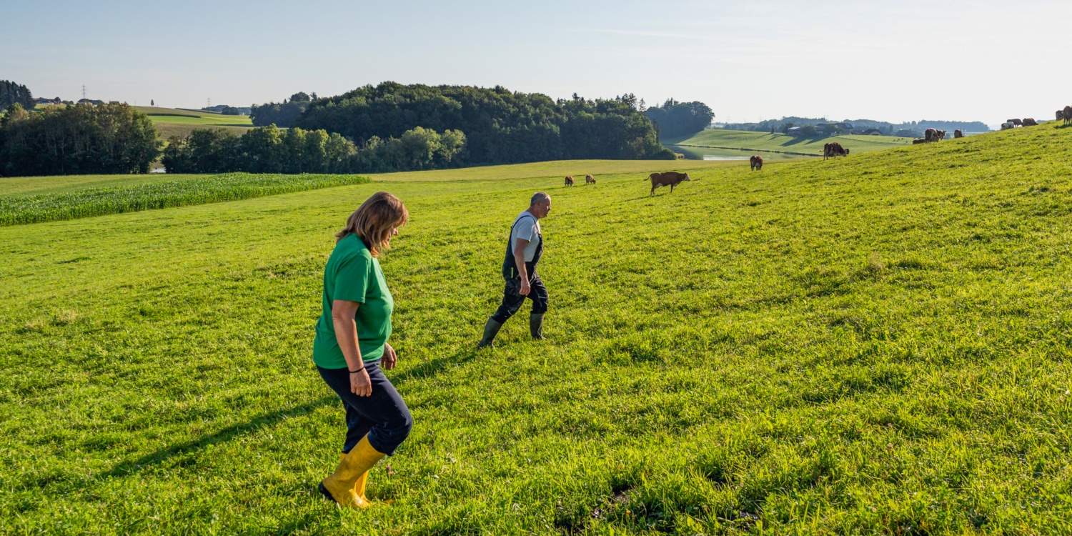 Frau Gruber beim Melken der Kühe im Stall.