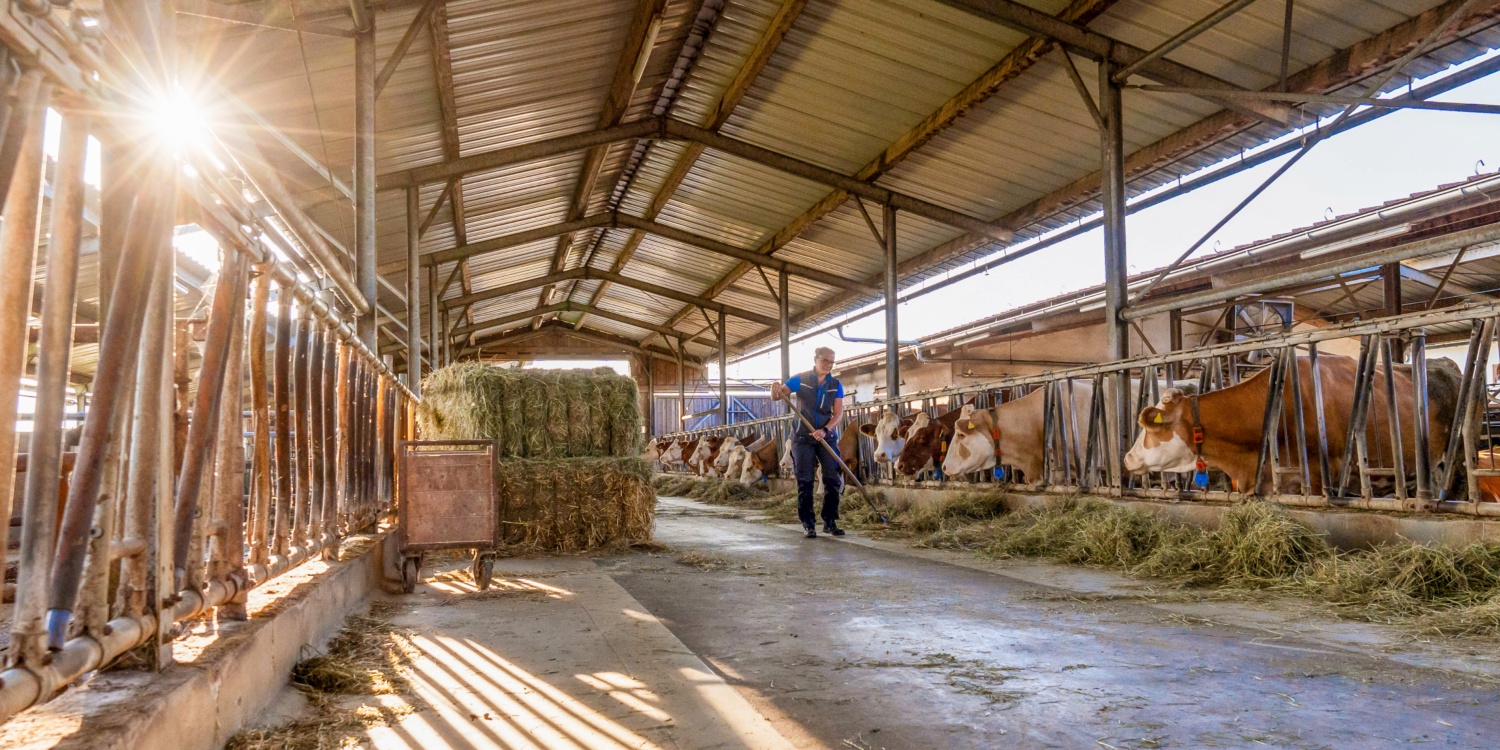 Betrieb und umliegende Natur.