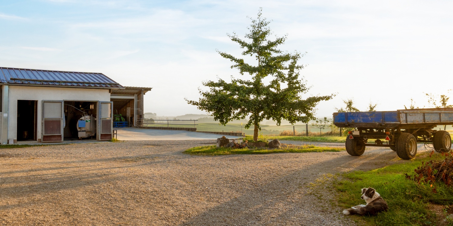 Herr Karch im Stall.