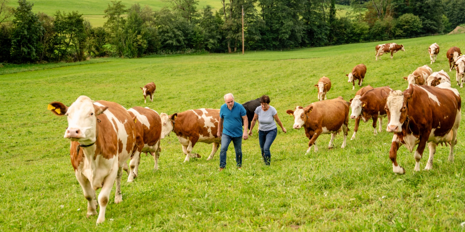 Herr und Frau Lechner mit ihren Kühen.