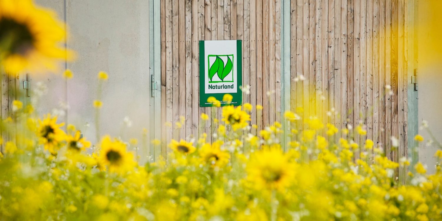 Sonnenblumen vor einem Schild mit dem Naturland-Logo.