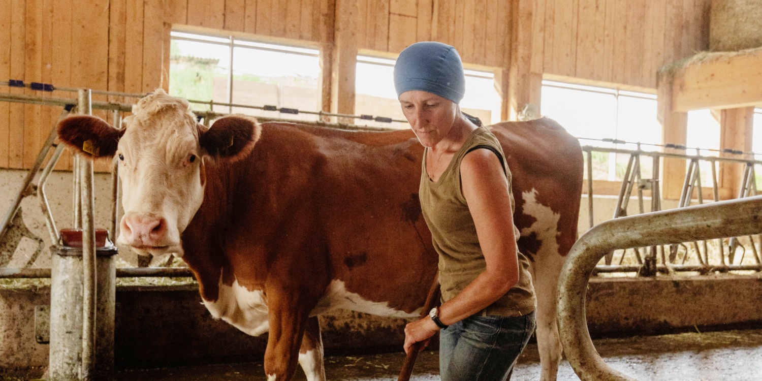 Frau Niedermüller mit Kuh im Stall.