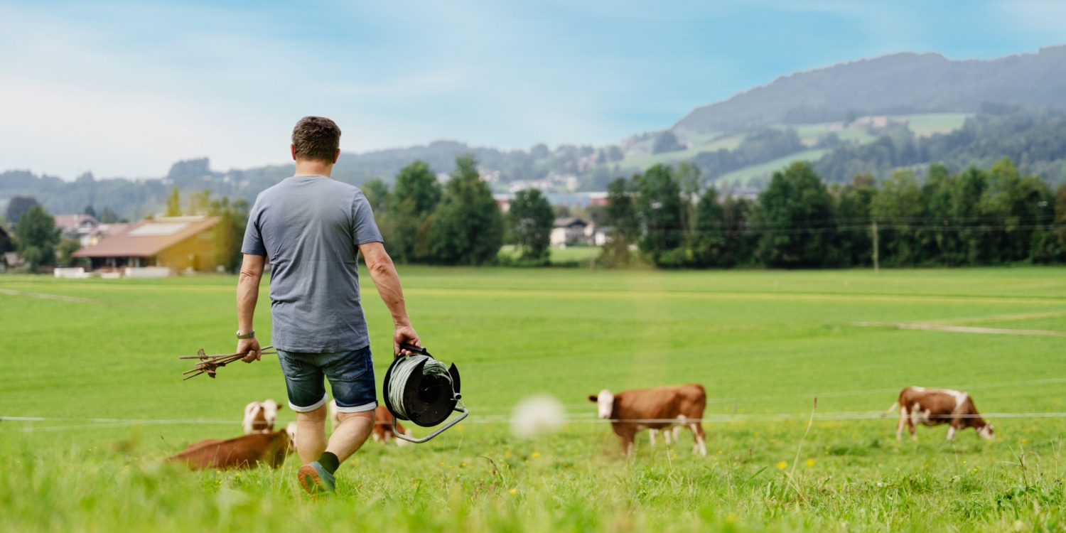 Herr Niedermüller auf dem Weg zu den Kühen auf der Wiese.