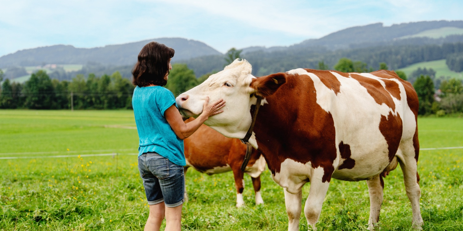 Frau Niedermüller begutachtet eine Kuh auf der Weide.