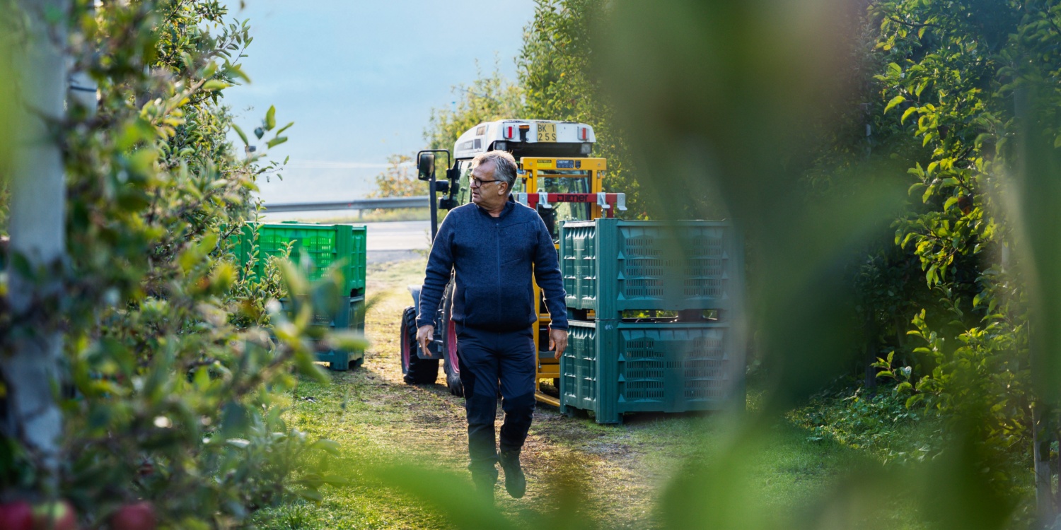 Bio-Landwirt Paul Wellenzohn auf dem Weg zur Apfelernte