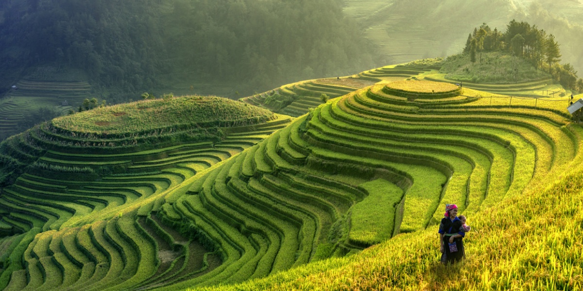 Terrassierte Reisfelder bei Sonnenaufgang mit einer Person in traditioneller Kleidung.