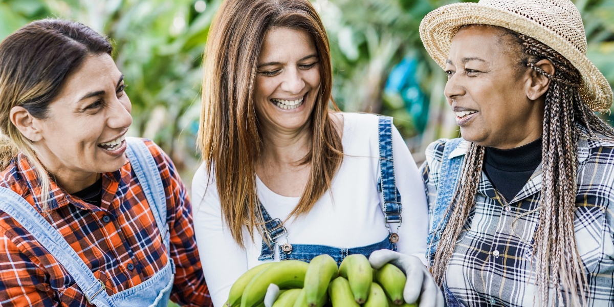 Drei lachende Frauen in Arbeitskleidung halten gemeinsam grüne Bio-Bananen. Sie stehen draußen auf einer Plantage und genießen den Moment.