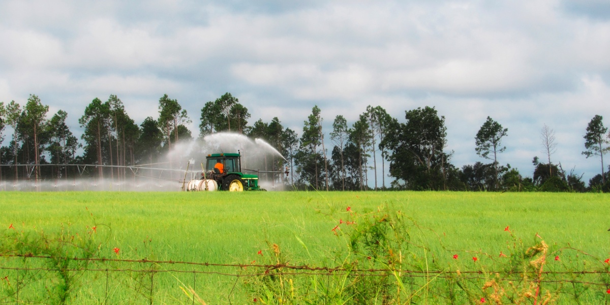 Traktor sprüht Flüssigkeit auf ein Feld.