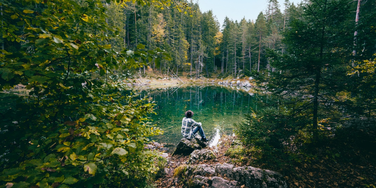 Person sitzt im Ökosystem Wald an einem See.