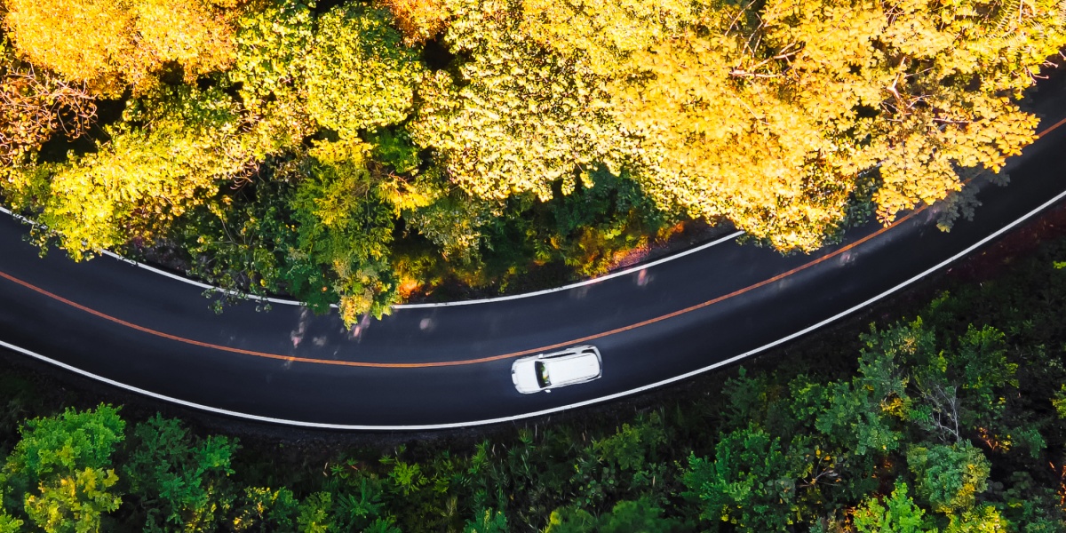 Ein E-Auto fährt auf einer Allee.