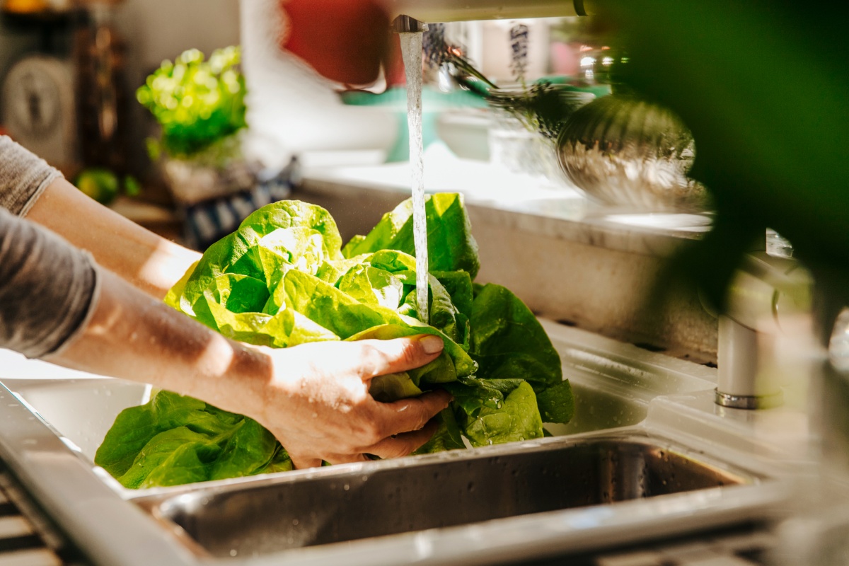 Salatkopf wird unter laufendem Wasserhahn gewaschen.