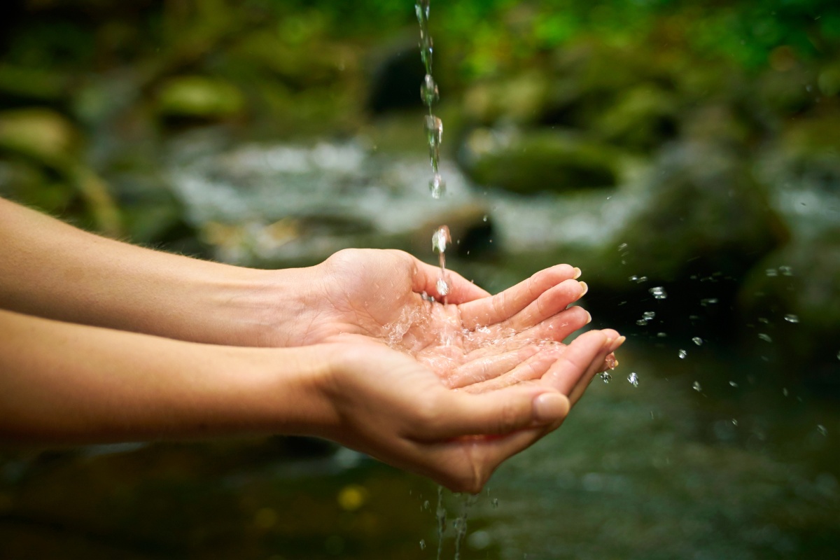 Eine Person fängt mit ihren Händen vor Bach Quellwasser auf.