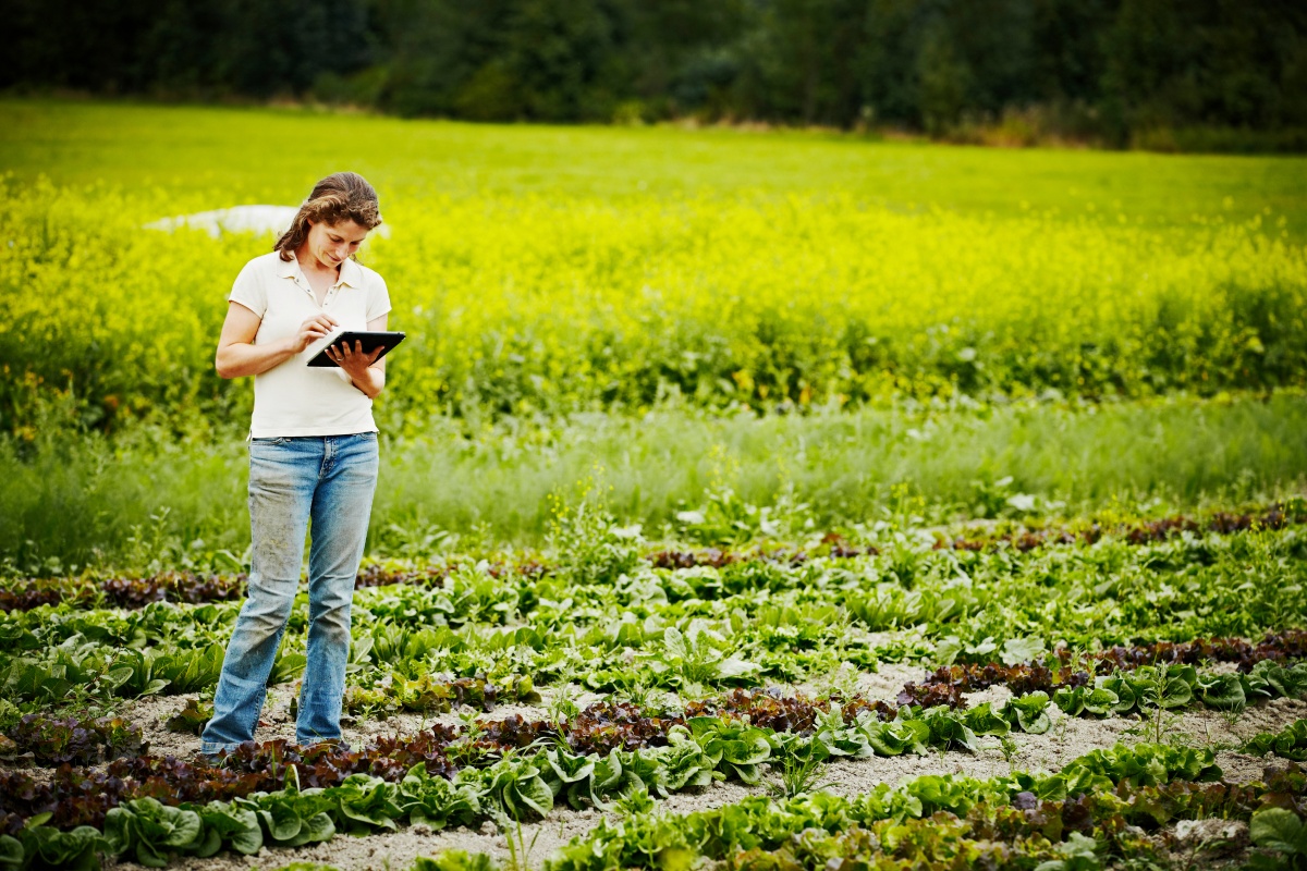 Eine Frau hält ein Tablet auf einem Anbaufeld.