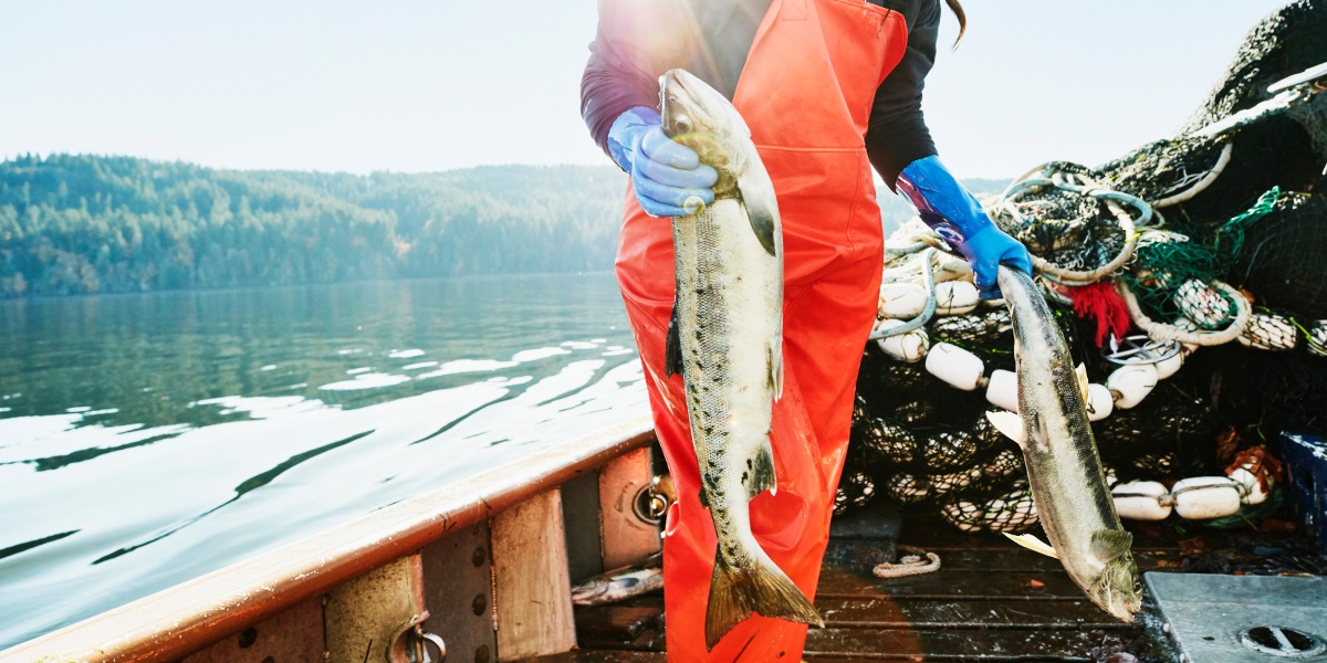 Fischer auf einem Kutter hält in jeder Hand einen Fisch.