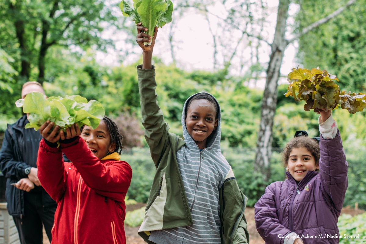 Eine Gruppe von Kindern hält freudig selbstgeerntete Salatköpfe in die Luft.