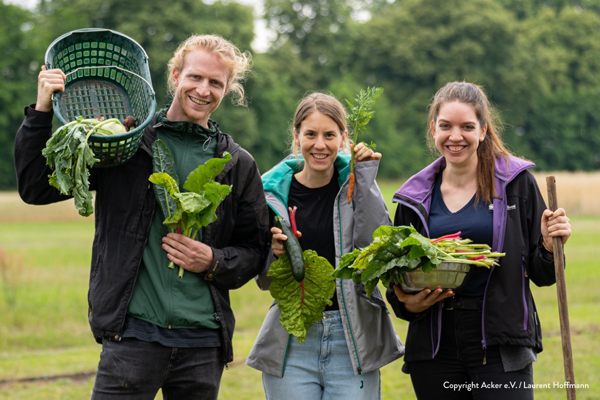 Drei Lehrkräfte halten auf einem Acker verschiedenes Gemüse in den Händen.