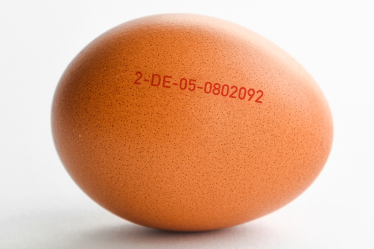 Nahaufnahme eines Eis mit Herkunftsbezeichnung Bodenhaltung.