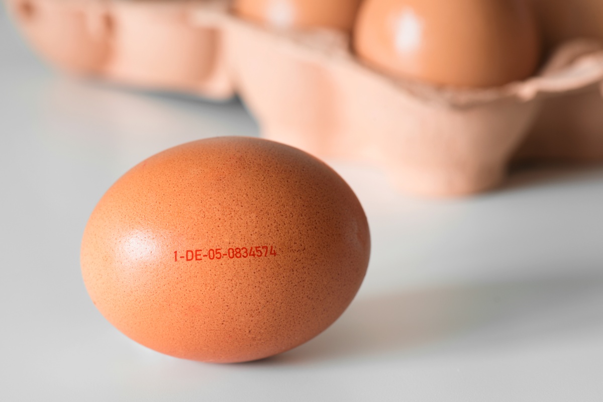 Nahaufnahme eines Eis mit Herkunftsbezeichnung Freilandhaltung.