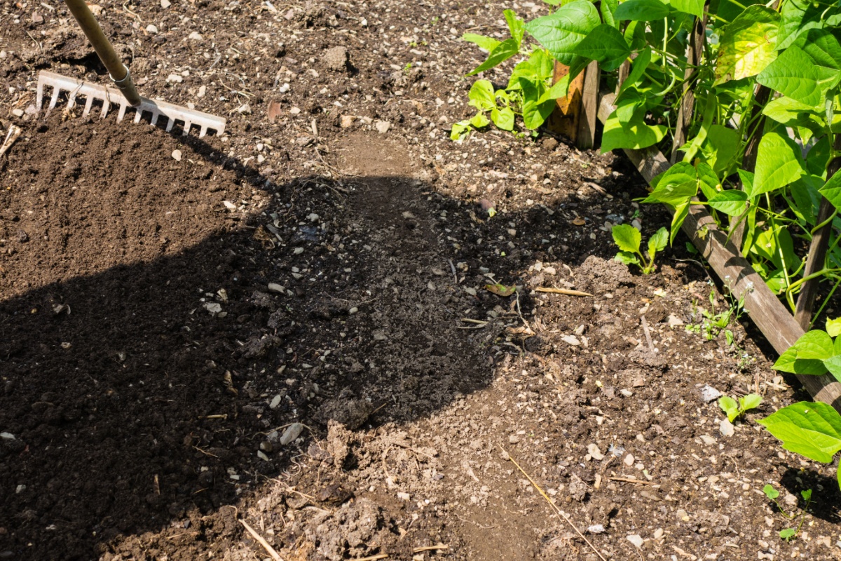 Schattenwurf eines Menschen auf einem umgegrabenen Beet. Links ein Rechen, rechts ein in Holz eingerahmtes bewachsenes Beet.