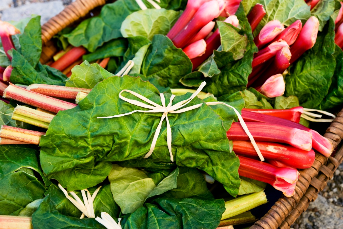 Ein Korb mit frischen Rhabarberstangen.
