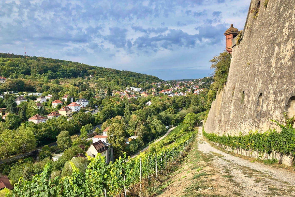 Weinberg an der Seite einer historischen Festungsmauer mit Blick auf ein Dorf und bewaldete Hügel unter bewölktem Himmel in der Weinregion Franken.