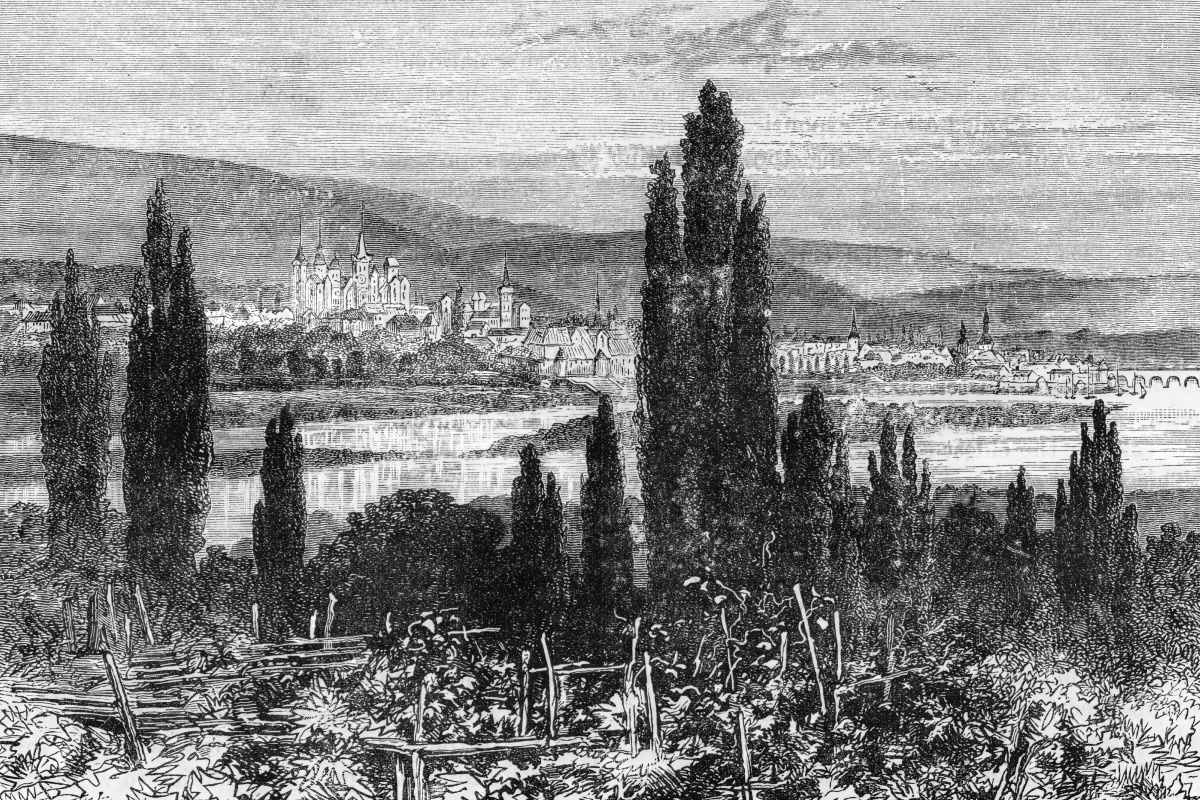 Eine Historische Zeichnung der Weinbauregion Mosel.