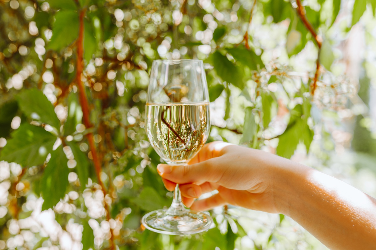Jemand hält ein Glas Weißwein vor grünem Laub im Sonnenlicht.