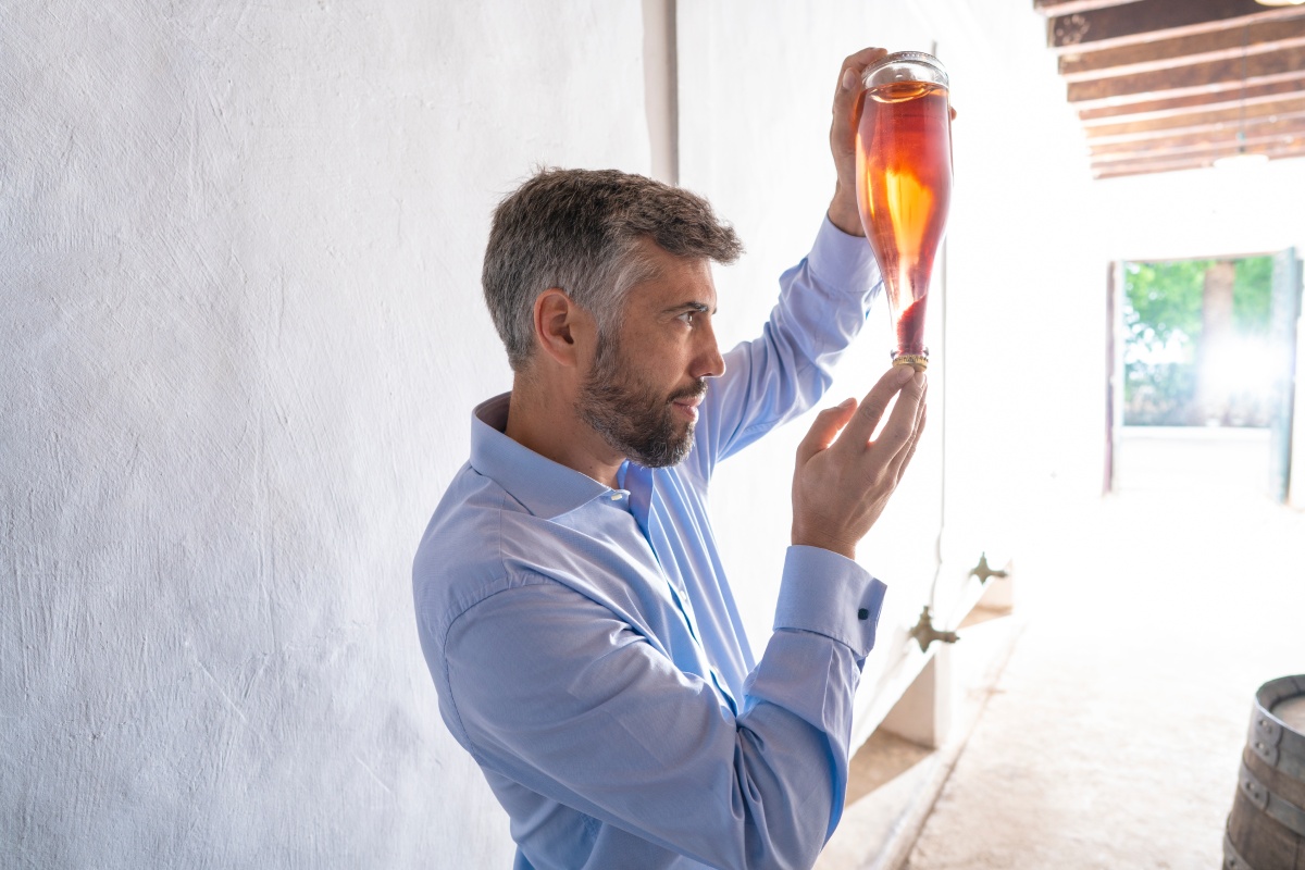 Ein Mann im blauen Hemd hält eine Flasche Wein gegen das Licht, um die Qualität und Farbe des Weins zu überprüfen.