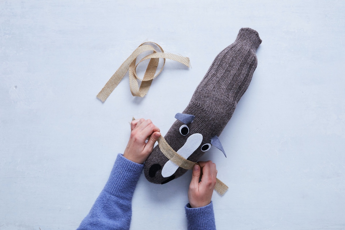 Steckenpferd bekommt Halfter angesteckt