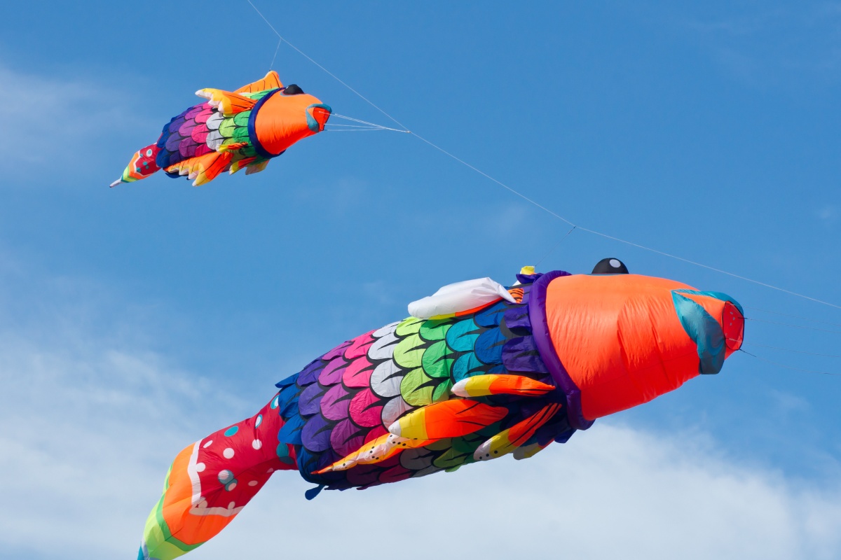 Zwei stablose Drachen in Fisch-Form mit Schuppenmuster und leuchtenden Farben fliegen hoch am blauen Himmel.