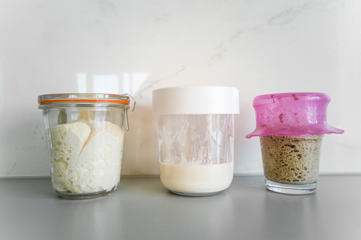 Drei Gläser mit aktivem Sauerteig in unterschiedlichen Entwicklungsstufen auf einer Ablage vor einer Wand.