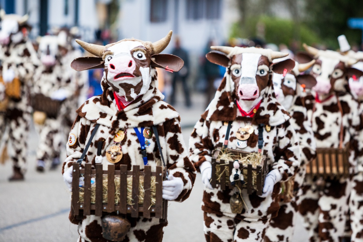 Gruppe in Kuhkostümen mit Futterkörben und Glocken bei einem Karnevalsumzug.