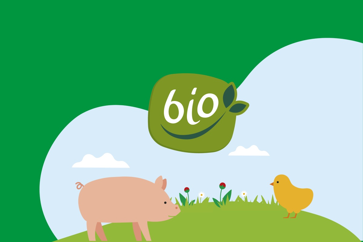 Illustration mit Ferkel und Küken auf grüner Wiese mit Blumen unter blauem Himmel.