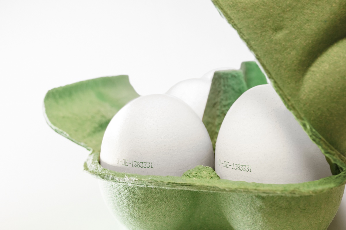 Ein geöffneter Eierkarton mit Deutschen Bio-Eiern steht vor einem weißen Hintergrund.