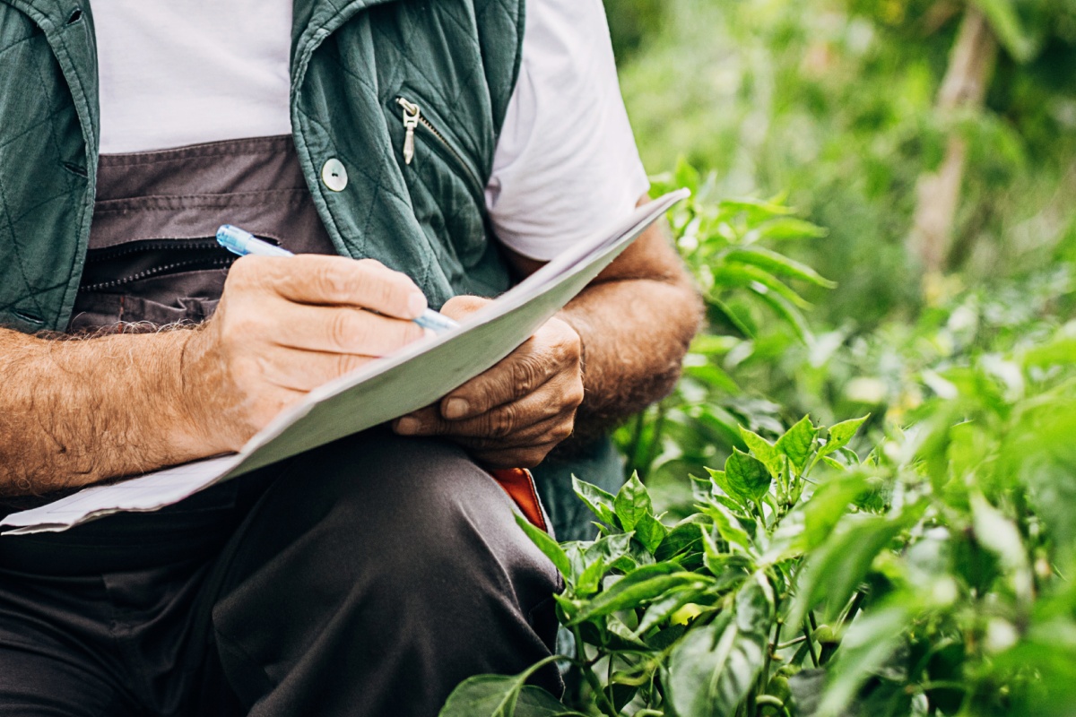Ein Mann sitzt im Grünen und schreibt in ein Heft.